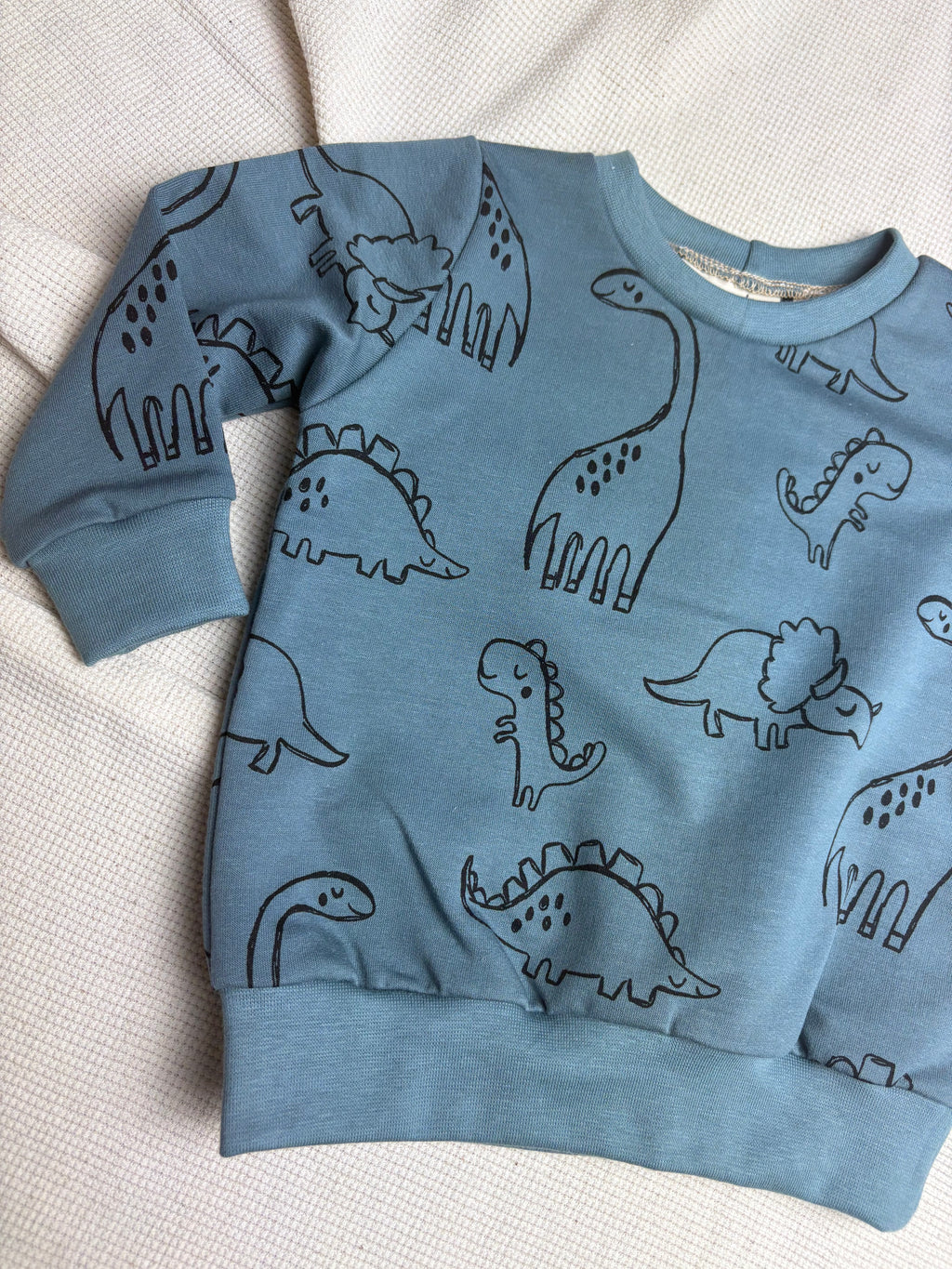 Sweater - Dino's