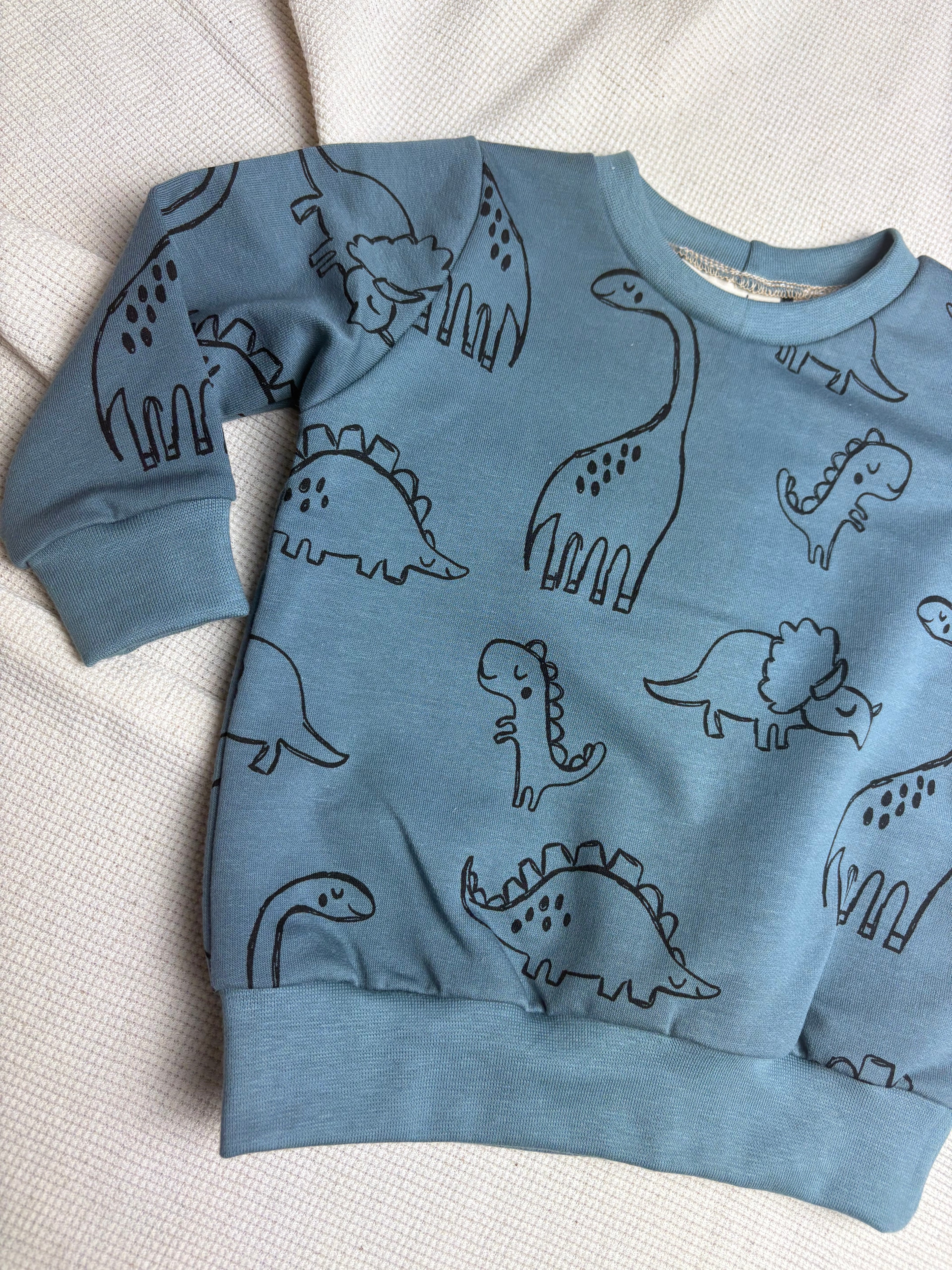 Sweater - Dino's